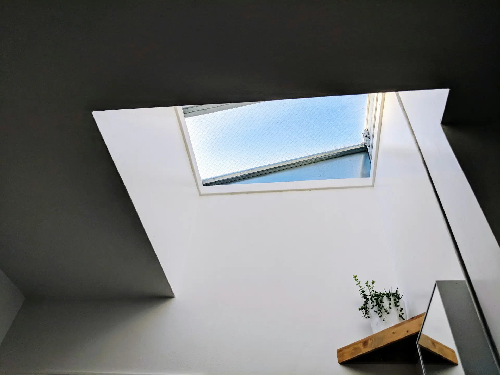 Windows & Skylights